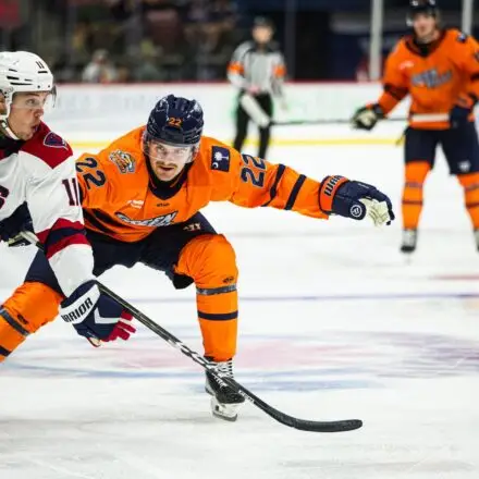 Greenville Swamp Rabbits