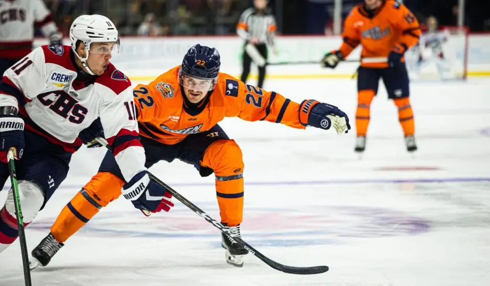 Greenville Swamp Rabbits
