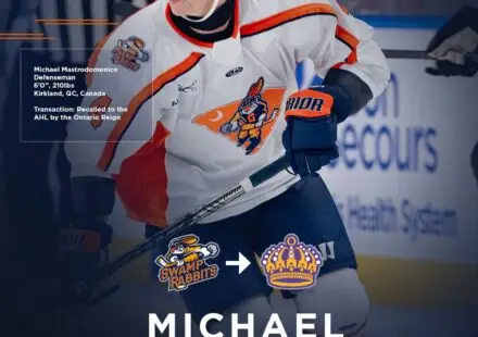 Greenville Swamp Rabbits