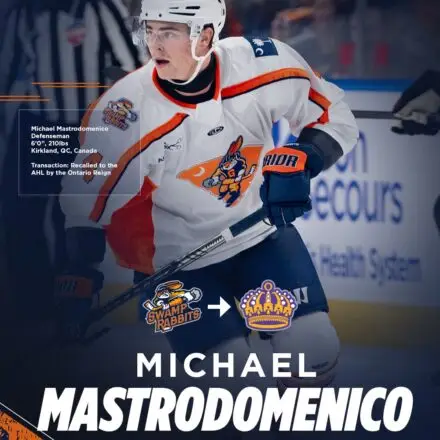 Greenville Swamp Rabbits
