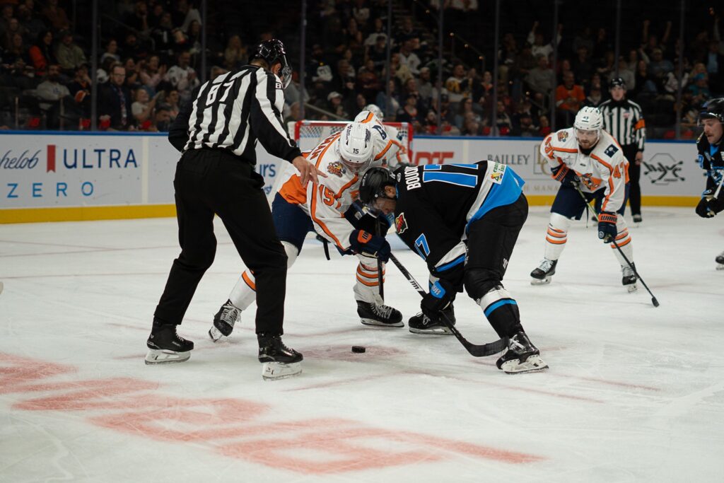 Greenville Swamp Rabbits