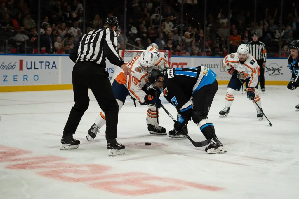 Greenville Swamp Rabbits