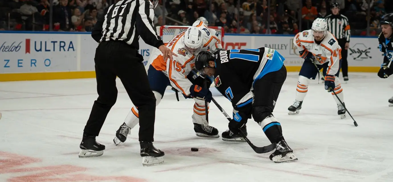 Greenville Swamp Rabbits
