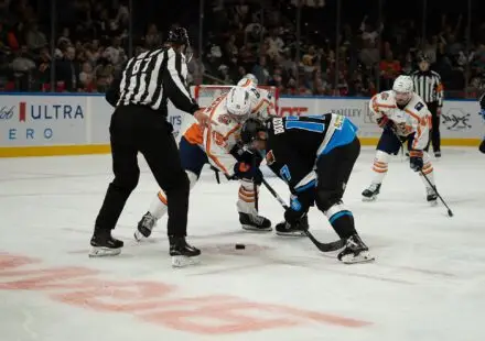 Greenville Swamp Rabbits