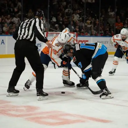 Greenville Swamp Rabbits