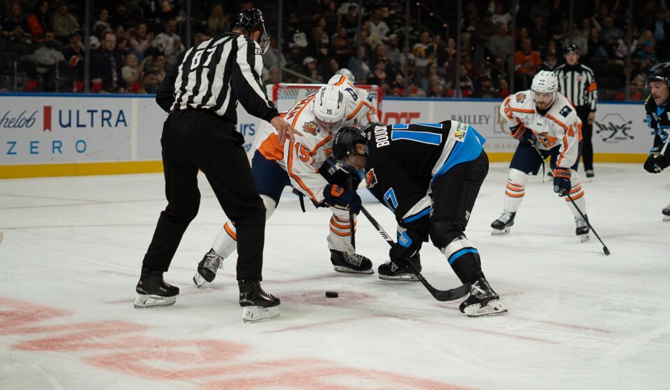 Greenville Swamp Rabbits