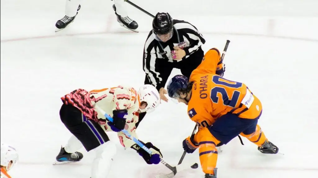 Greenville Swamp Rabbits