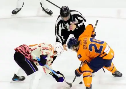 Greenville Swamp Rabbits