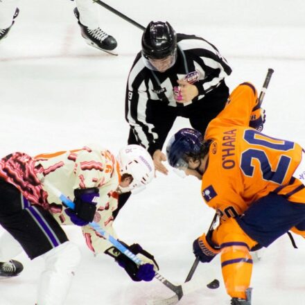 Greenville Swamp Rabbits