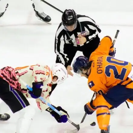 Greenville Swamp Rabbits