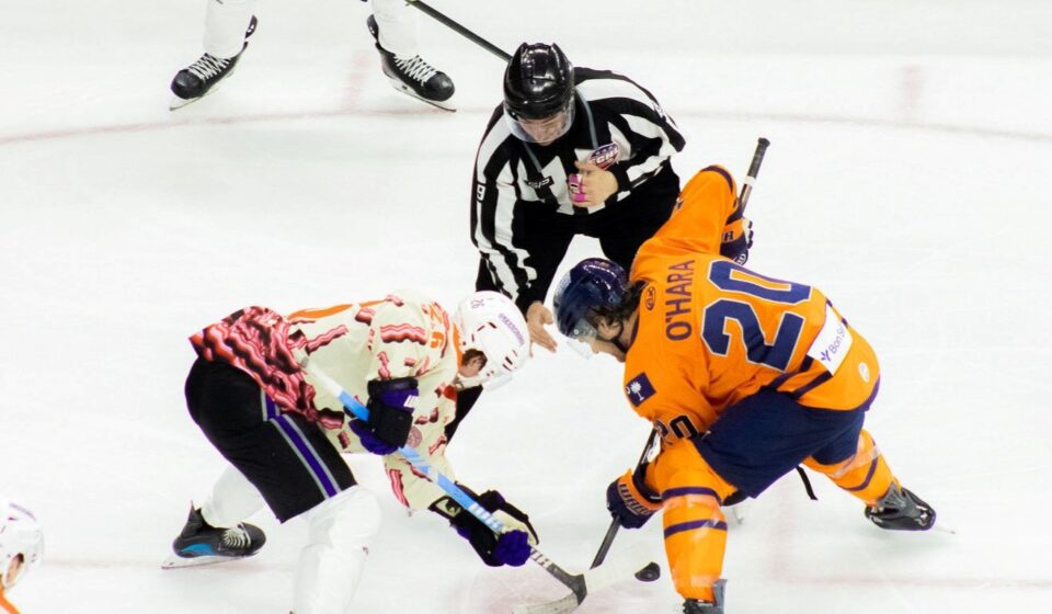 Greenville Swamp Rabbits