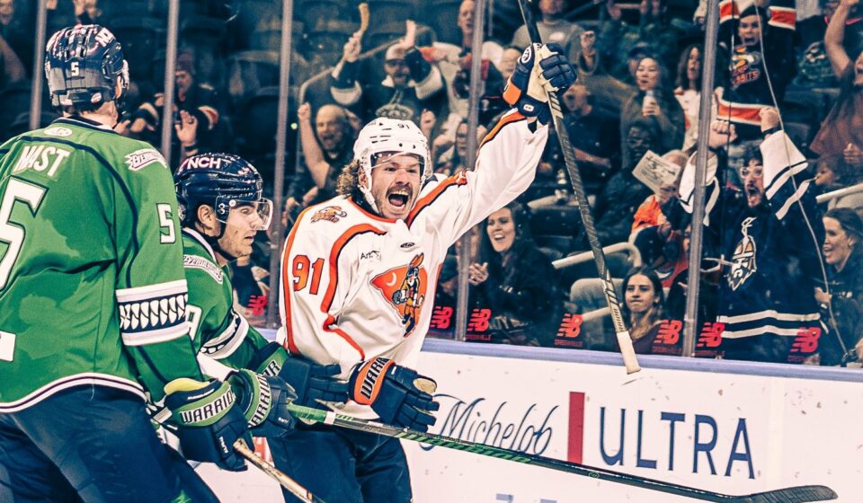 Greenville Swamp Rabbits