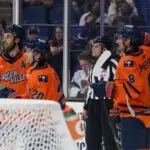 Greenvillee Swamp Rabbits