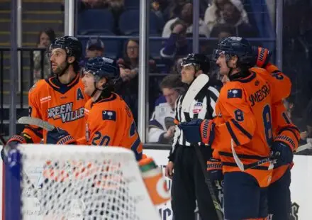 Greenvillee Swamp Rabbits
