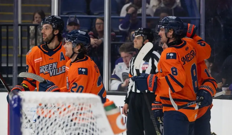Greenvillee Swamp Rabbits