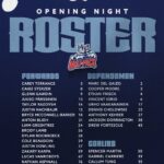 Hartford Wolf Pack Roster